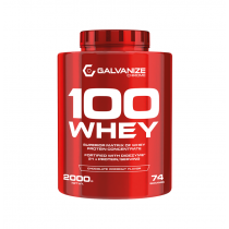 Galvanize Nutrition 100 Whey Protein